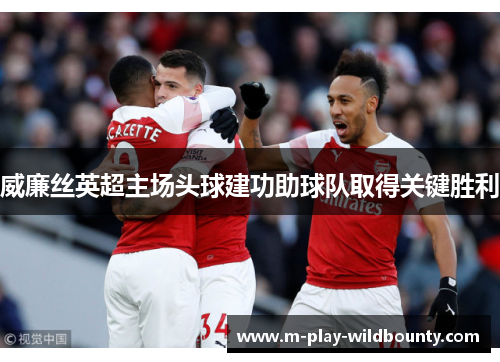 威廉丝英超主场头球建功助球队取得关键胜利