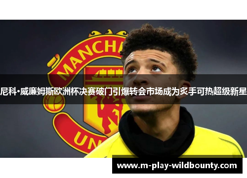 尼科·威廉姆斯欧洲杯决赛破门引爆转会市场成为炙手可热超级新星