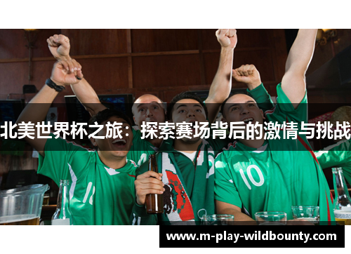 北美世界杯之旅：探索赛场背后的激情与挑战
